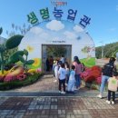 미래지 이미지