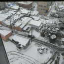 조외과의원 이미지