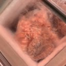 장기식육점 이미지