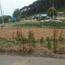 교로2리경로당 이미지