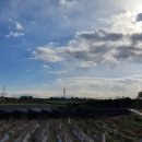 염작보건진료소 이미지