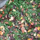 용인시민체육센터 화장실 이미지