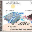 동아전자 이미지