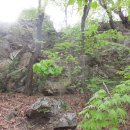 영문2리 이미지