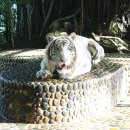 백호농장 이미지