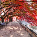 환경생태공원 이미지