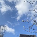 🔍 [판례 분석] 퇴직연금 분할, 재산분할 기각됐어도 가능한가? #대구이혼전문변호사강정한 aka 대구가정법원변호사 이미지