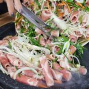 해성오리 이미지