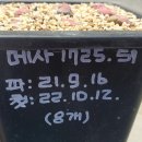 H4886 네이버블로그