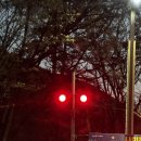 (유)오리진 | 날=방탈출 하는 날💥부산 서면 공포 방탈출 '플레이포인트랩 부산서면오리진점-그늘사진관' 내돈내산 후기