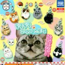 모비딕2019 이미지