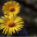 잠실애슬리의원 이미지