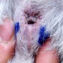 토곡동물병원 이미지