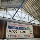 여름목장 | 생각보다 너무 재밌었던 남해양떼목장 양모리학교 한여름에 방문 후기