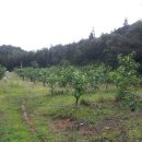 장평농장 이미지