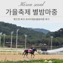 코리아파크 | 과천 렛츠런파크 별밤마중 페스티벌 후기 및 꿀팁 (코리아컵 후기)