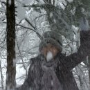 전나무목장 이미지