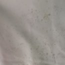 김나경명품세탁 이미지