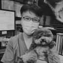 더독 동물병원 네이버블로그