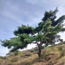 경남/합천 황매산 억새산행(with광주금광산악회) 이미지