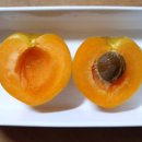 케이비농장 이미지