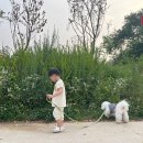 카페올두바이