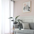 식물 인테리어 이미지