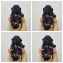 지에스25안서중앙점 이미지