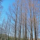 원적산공원 이미지