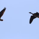 강서체육공원 이미지