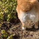 샹떼PC방 충주금릉점 | 03.26- 밀린 일기