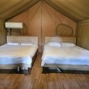 숲들내캠핑장 이미지