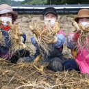 풍기테마호텔 이미지