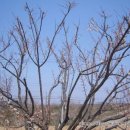 해오름관광펜션 이미지