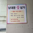 남대문 꽃시장 화분 구매후기 &lt;보보플라워&gt; 대도종합상가 가는길, 운영시간
