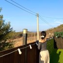 힐링 | 청도 | 대구근교 마운틴뷰 자쿠지펜션 ‘스테이더문‘ 애견동반 힐링 후기