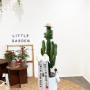 케이빌리아드 이미지