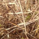 이명은 농장 이미지