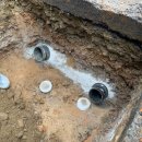 코아&2060 이미지