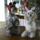 맥심검도관 이미지