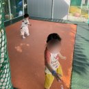 우심농장 | [Camp#10]서울 근교 용인미르힐캠핑장 평일 전세캠 달빛 2구역 후기