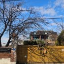 공항 가까운 전원주택 펫시터 이미지