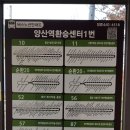 유림-1136 이미지