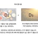 닥터세이지 이미지