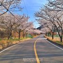 옥계어촌체험휴양마을 투어코리아