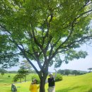 SK당구장 | 강원 썬벨리CC 1박2일 라운딩 만족도 높은 골프장 라운딩 후기
