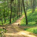 대교공원 체험관광센터 이미지