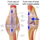 호계동물병원 이미지