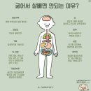 열정점핑다이어트