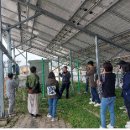 상록햇빛발전소 이미지